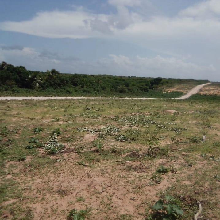 Terreno em Lagoinha com 198 m²
